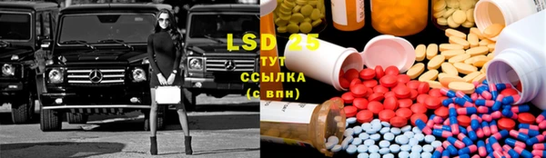 дживик Богданович