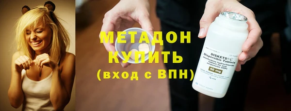 индика Медвежьегорск