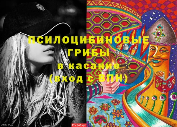 дживик Богданович