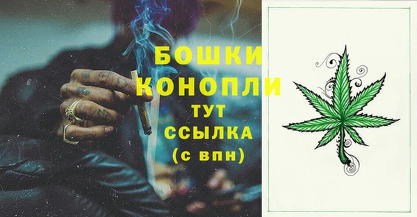 дживик Богданович