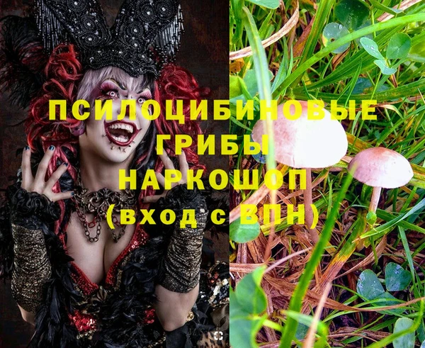 дурь Майский
